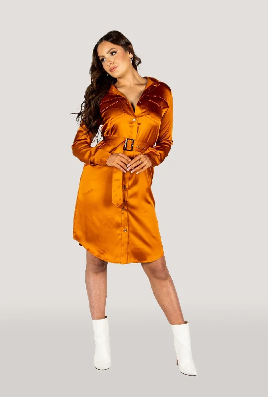 Why Mary "Jackie" Trench Coat Dress Rusty Orange Suede Faux Fur Shearling